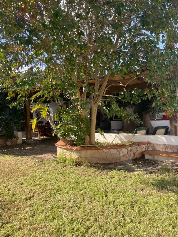 Roy House Villa Alghero Luaran gambar